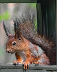 Similar image 21822705