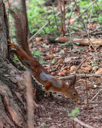 Similar image 21822706