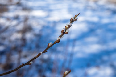 Similar image 21824072