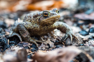 Similar image 21823210