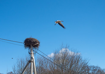 Similar image 21823212