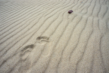 Similar image 21823214