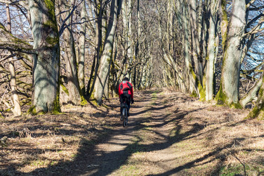 Similar image 21822713