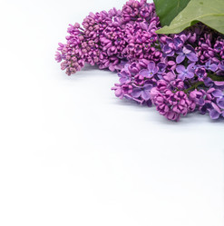 Similar image 21823218