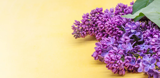 Similar image 21822716