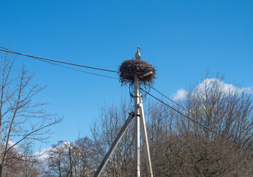 Similar image 21822718