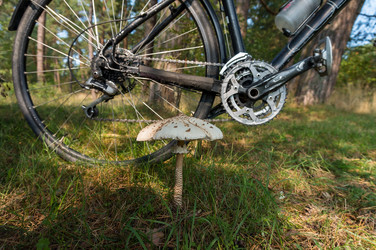 Similar image 21822719