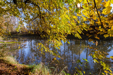 Similar image 21822720