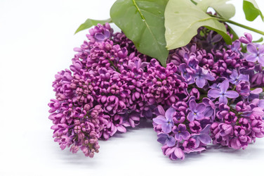 Similar image 21822721