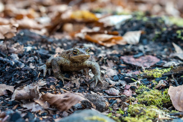 Similar image 21822722