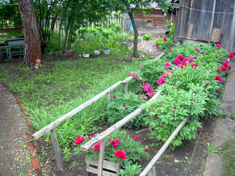 Similar image 21822529