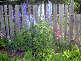 Similar image 21822531