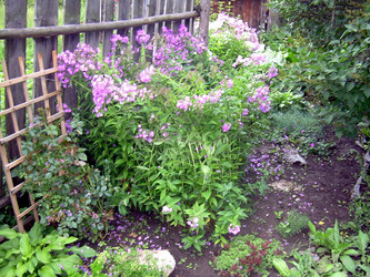 Similar image 21822574