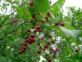 Similar image 21822577