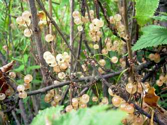 Similar image 21822578