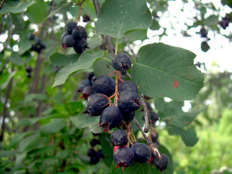 Similar image 21822579