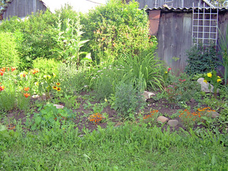 Similar image 21822581