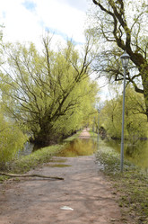 Similar image 21826018