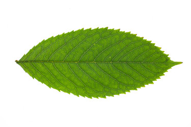 Similar image 21822535