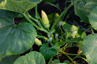 Similar image 21825962