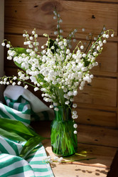 Similar image 21825966