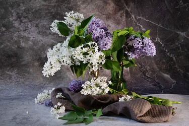 Similar image 21825970