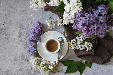 Similar image 21825971