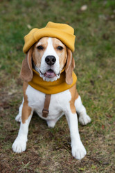 Similar image 21825972