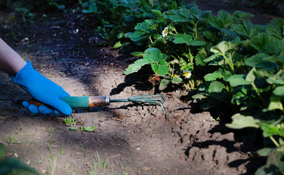 Similar image 21826041