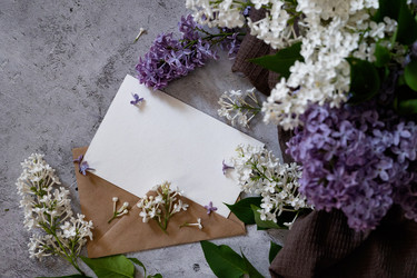 Similar image 21826042