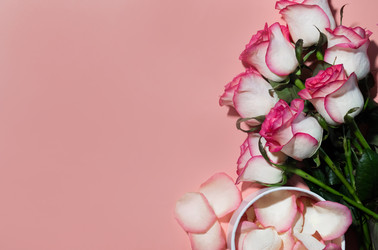 Similar image 21826044