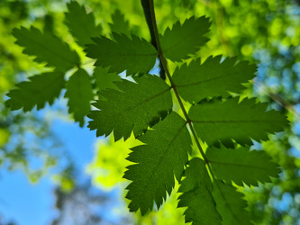 Similar image 21824074