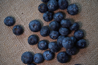 Similar image 21822548