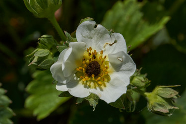 Similar image 21822417