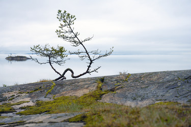 Similar image 21822582