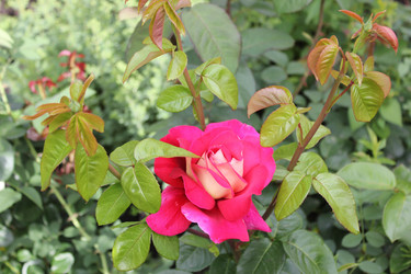 Similar image 21822891