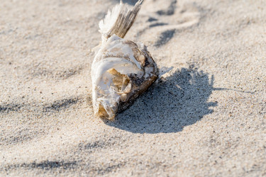 Similar image 21823408