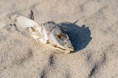 Similar image 21823409