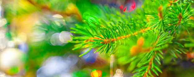 Similar image 21823411