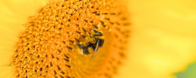 Similar image 21823414