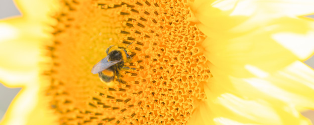 Similar image 21823415