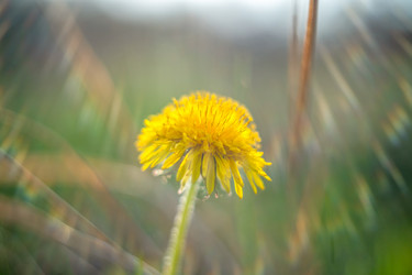 Similar image 21823416