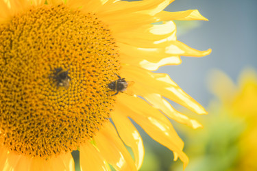 Similar image 21823417