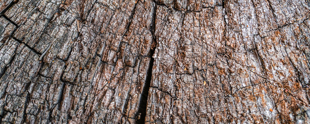 Similar image 21823418