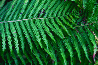 Similar image 21823419