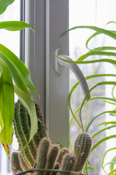 Similar image 21823420