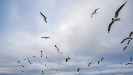 Similar image 21823421