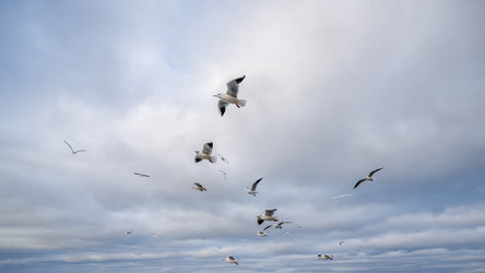 Similar image 21823422