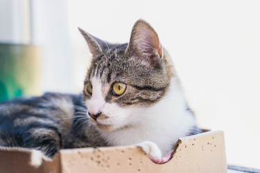 Similar image 21823426