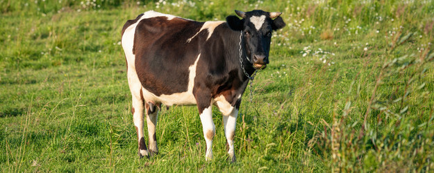 Similar image 21823428